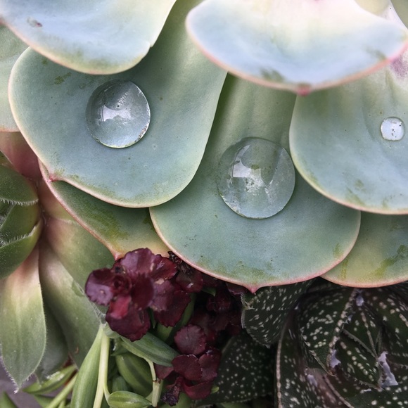 Meet your Posher, Jenna - Picture 3 of 4